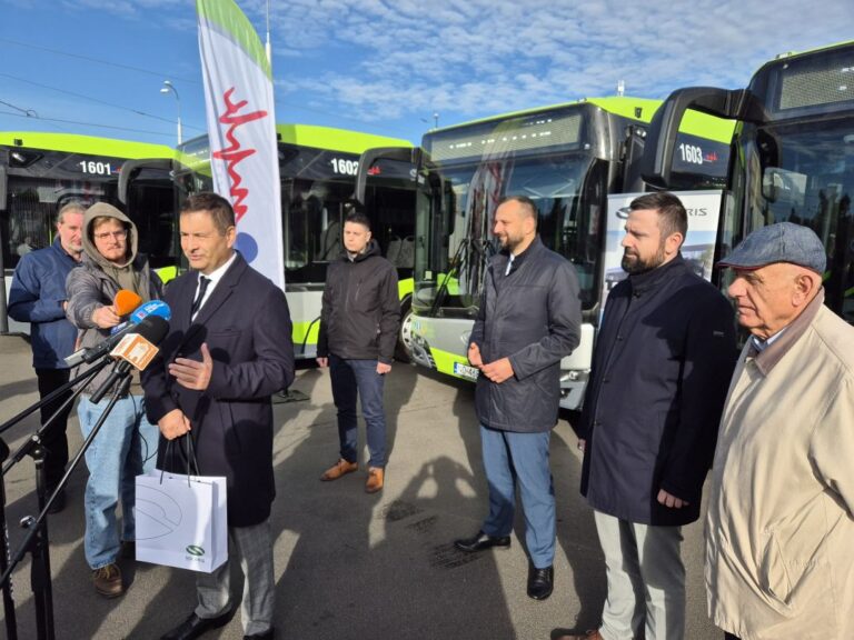 Hybrydy w Olsztynie